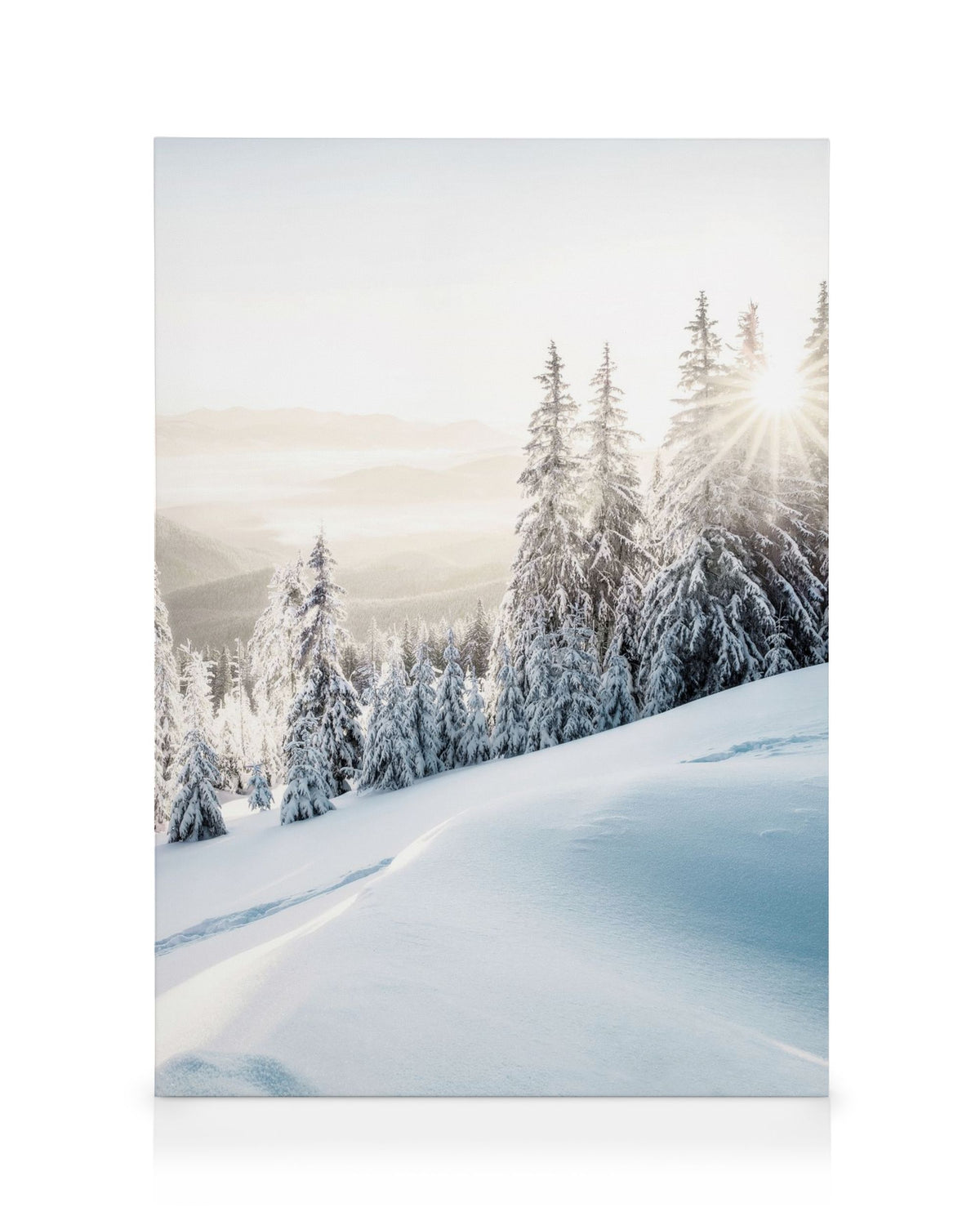 Winter Sunrise Canvas print