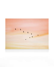 Sunset Birds Canvas print