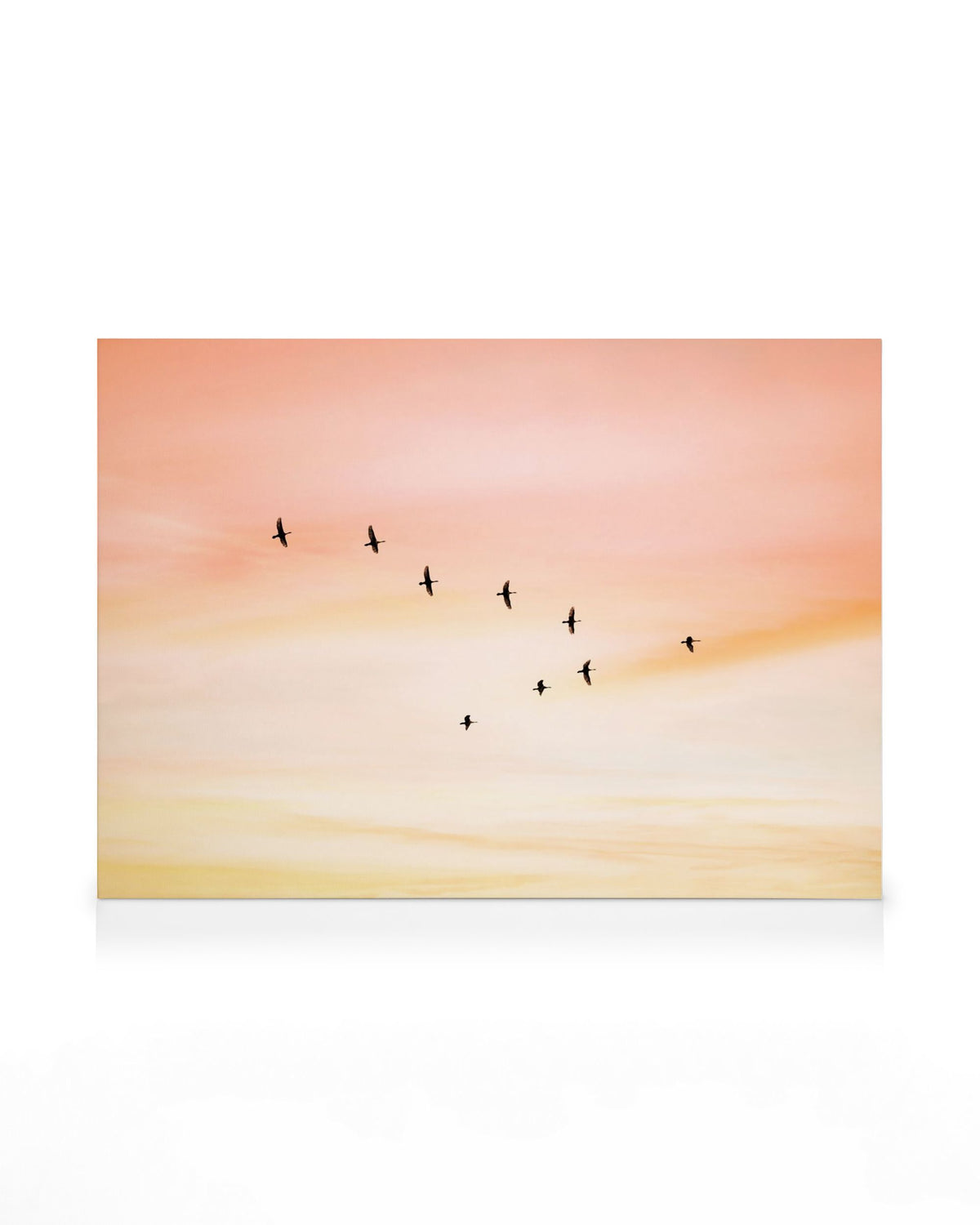 Sunset Birds Canvas print