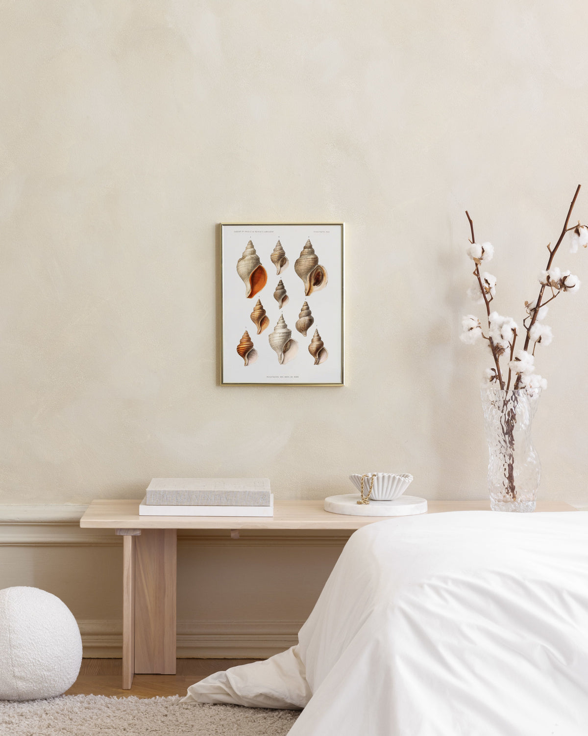 Vintage Seashells Print