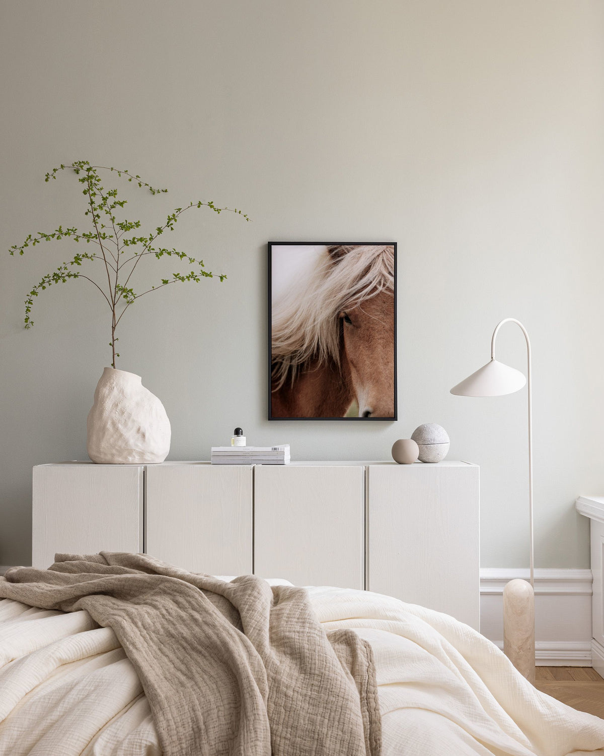 Chestnut Horse Canvas print