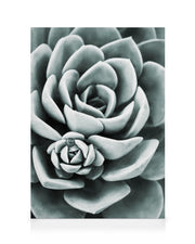 Mint Green Succulent Canvas print