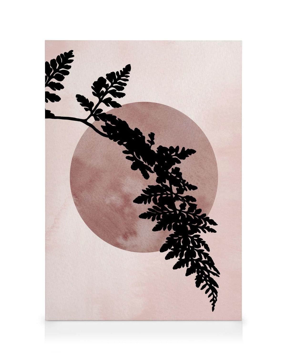 Fern Silhousette Canvas print