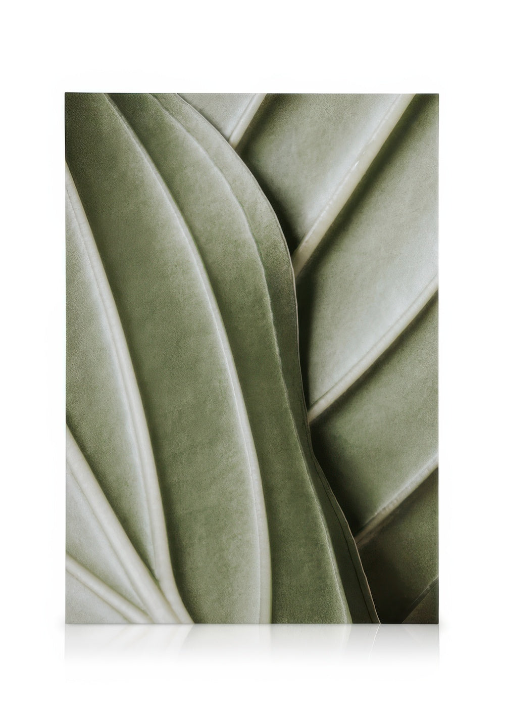 Organic Lines Canvas print