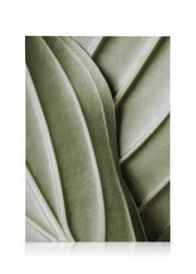 Organic Lines Canvas print