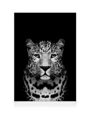 Leopard B&W Canvas print