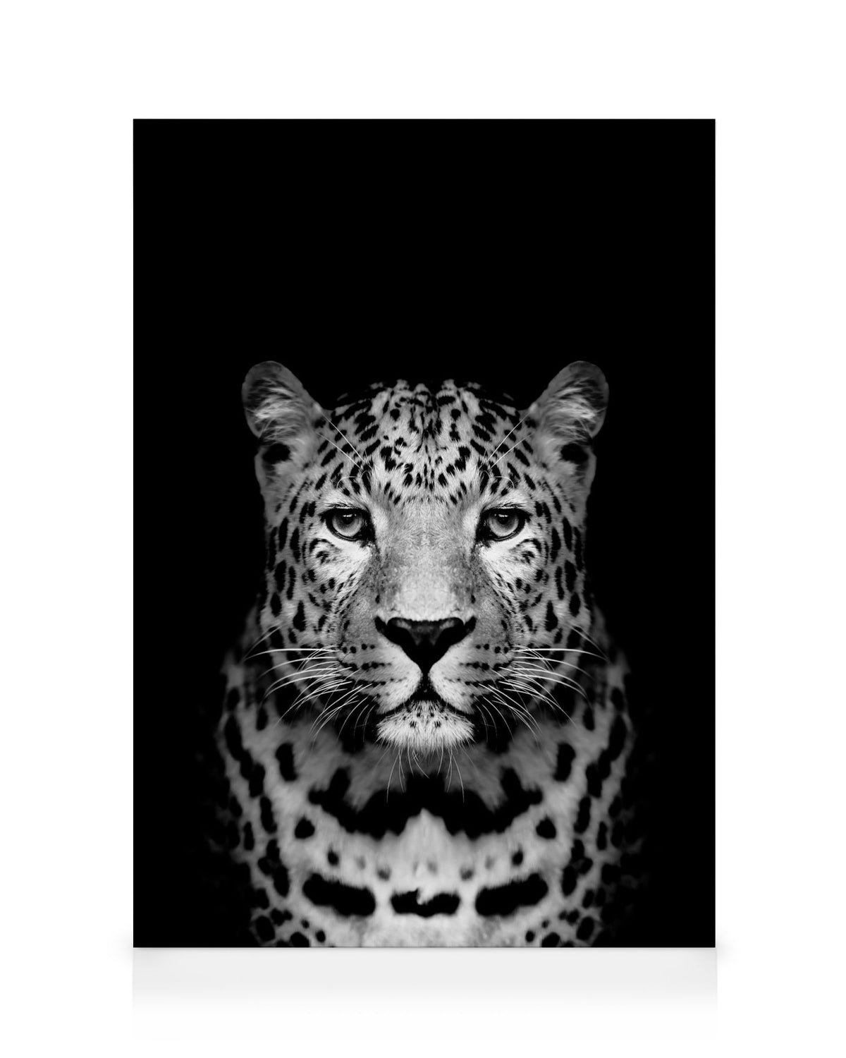 Leopard B&W Canvas print