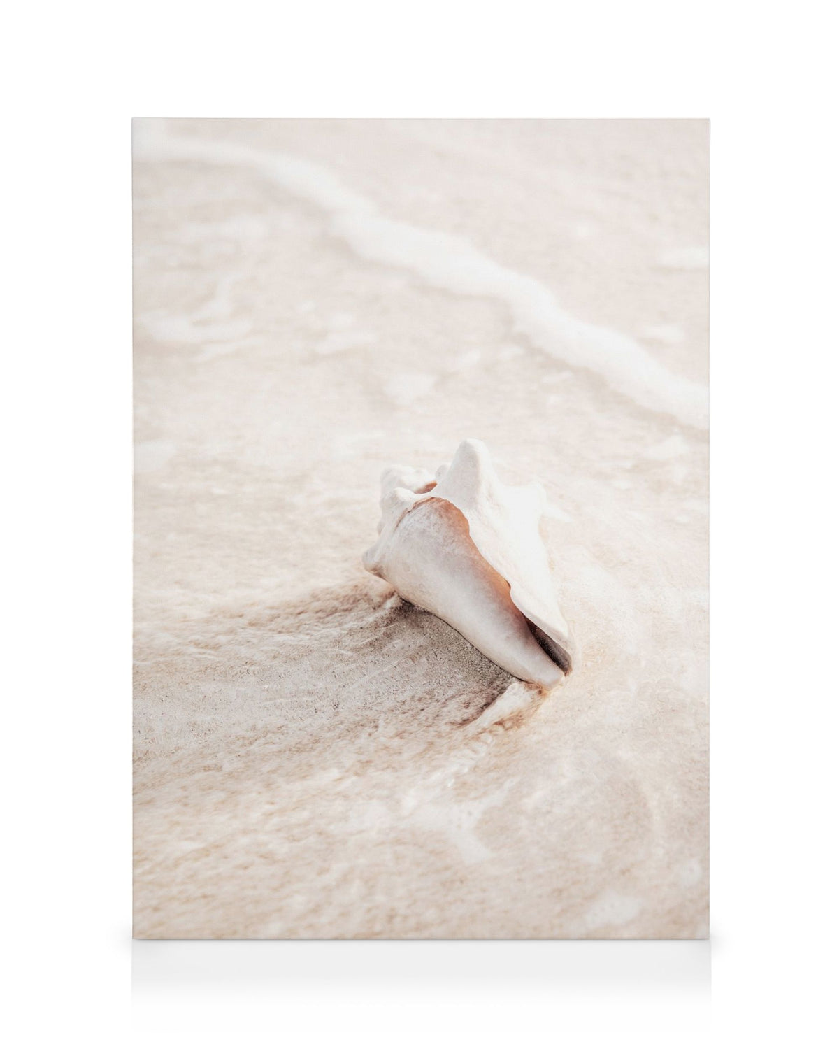 Nature Creation Canvas print