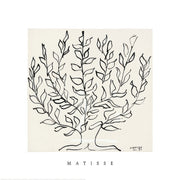 Matisse - The Plane Tree Square Print