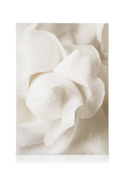 Rose Flower Bud Canvas print