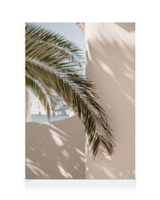 Tropical Shadow Canvas print