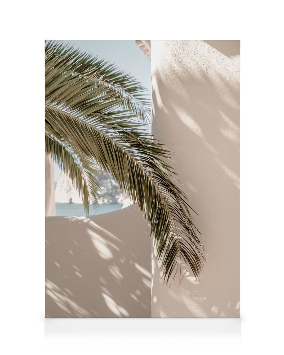 Tropical Shadow Canvas print