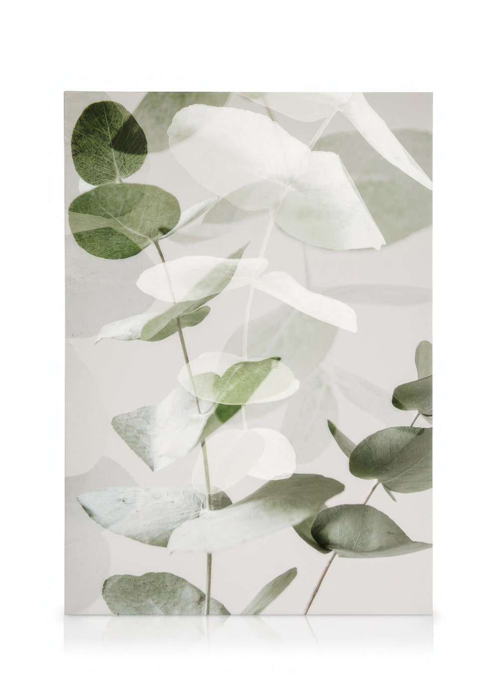 Eucalyptus Shades No2 Canvas print