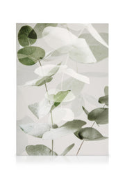 Eucalyptus Shades No2 Canvas print