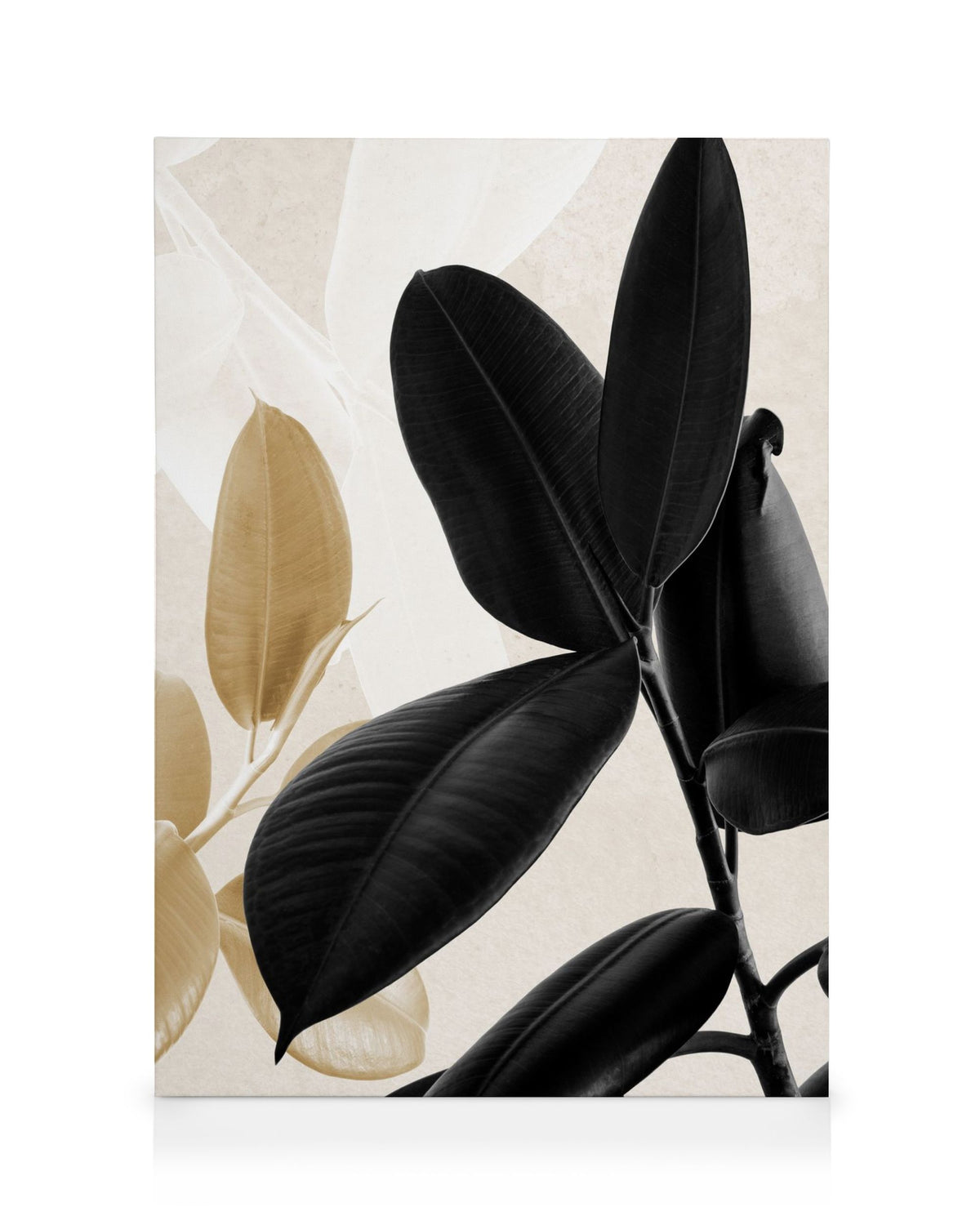 Gold and Black No2 Canvas print
