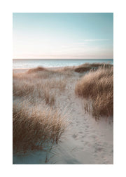 Sunset Beach Dune Print