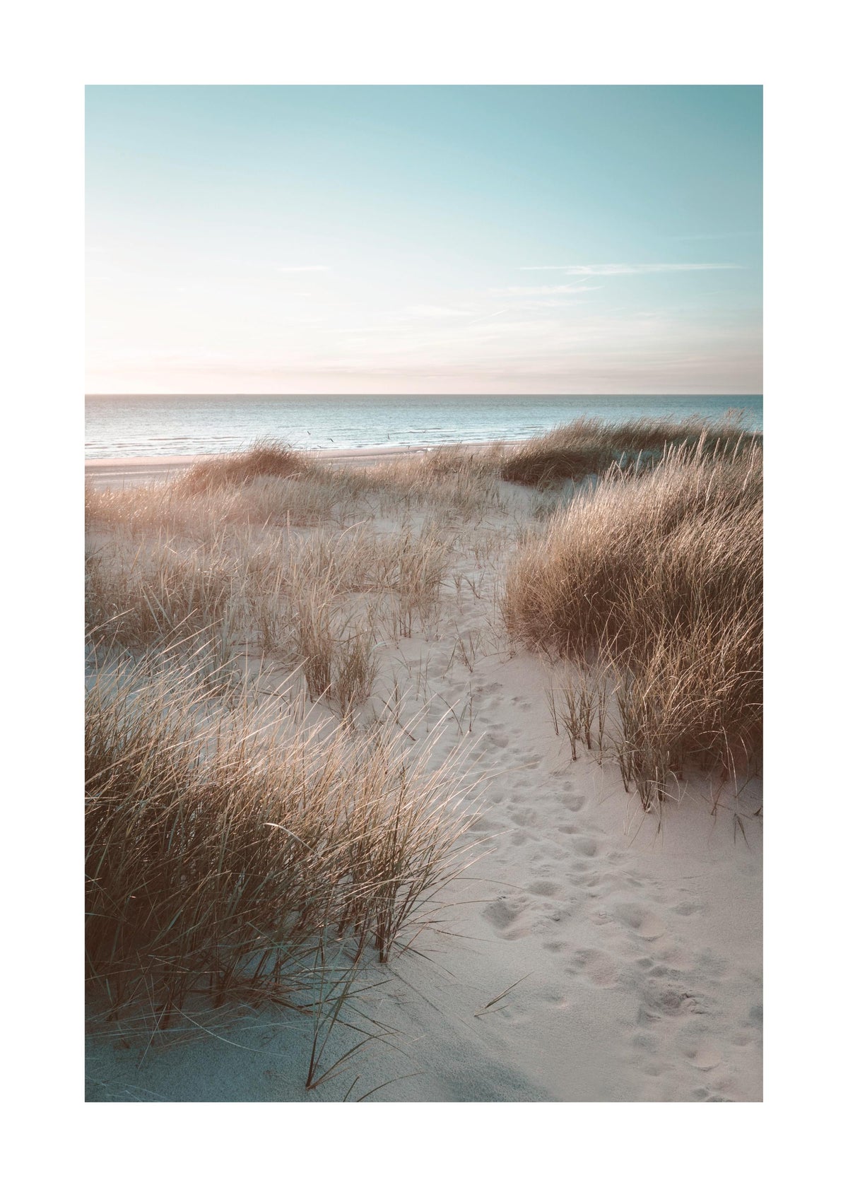 Sunset Beach Dune Print