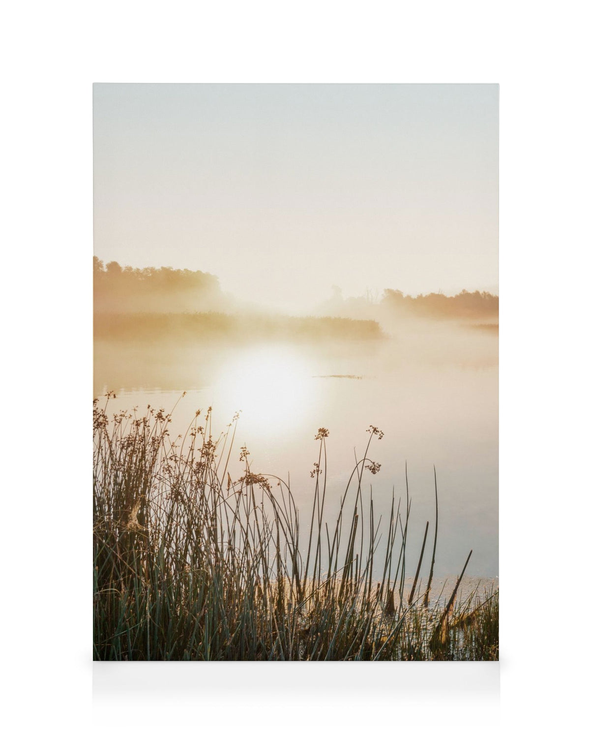 Misty Lake Canvas print