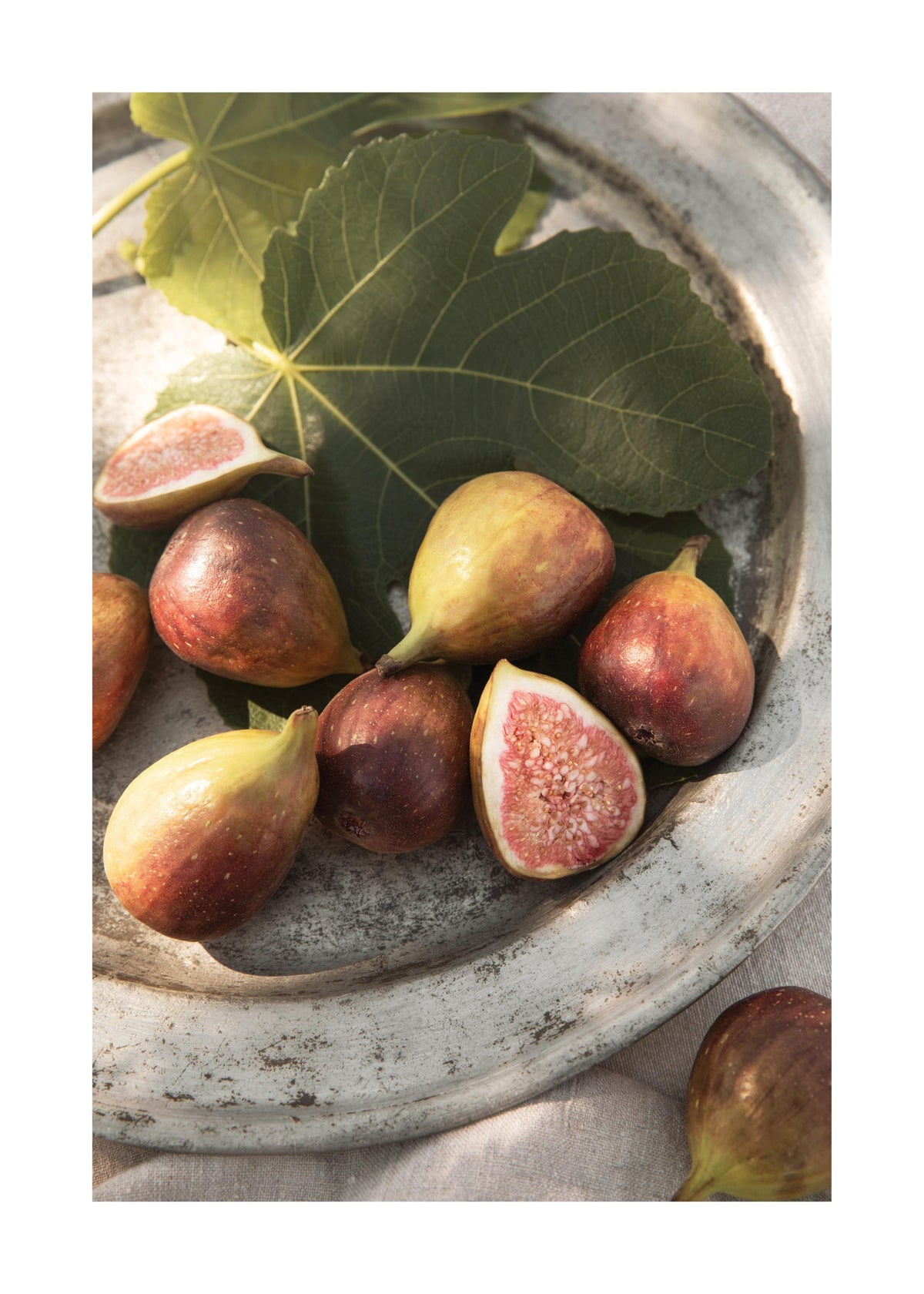 Sun-Ripened Figs Print