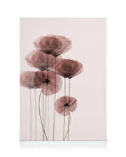 Poppy Bunch Canvas print