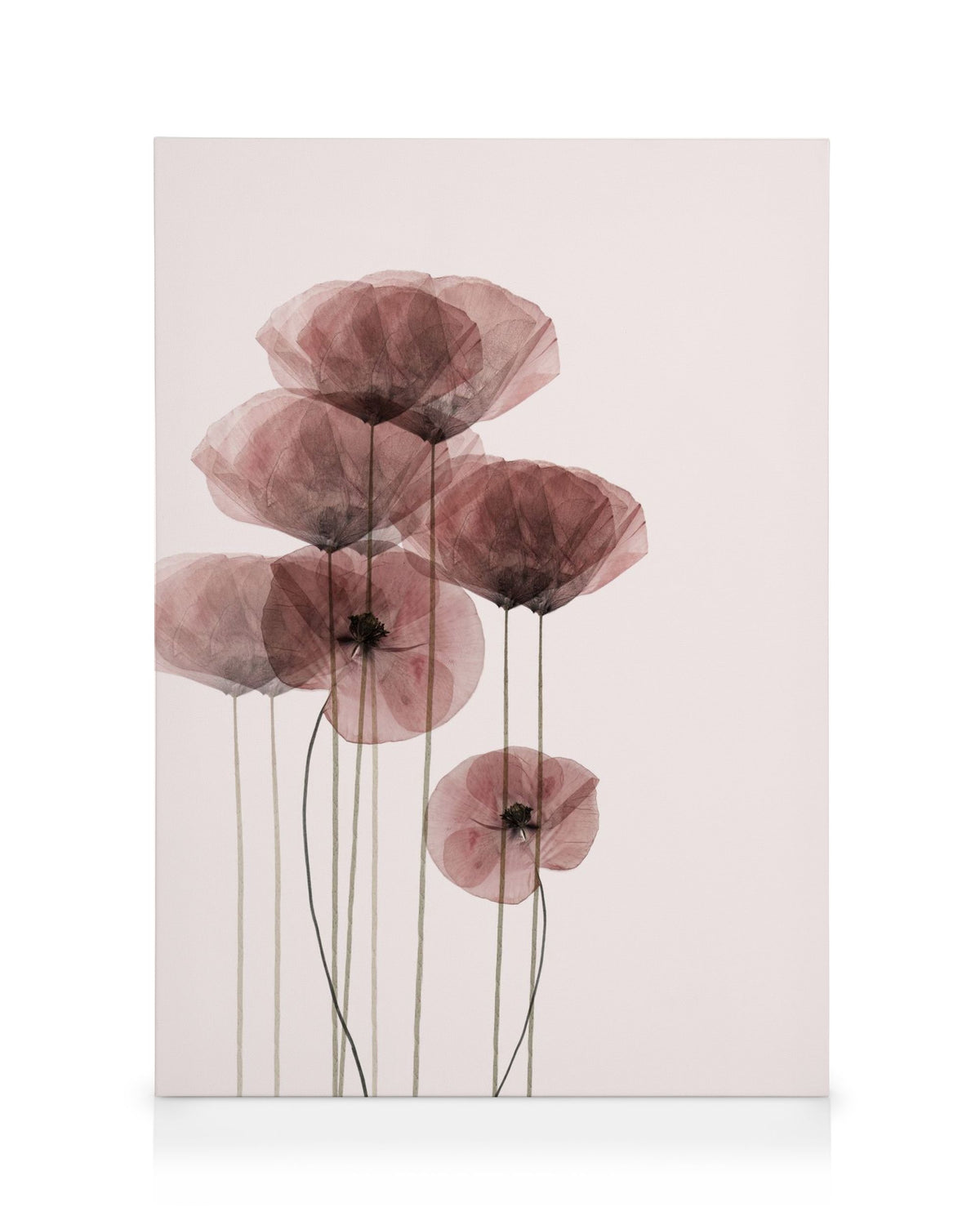 Poppy Bunch Canvas print