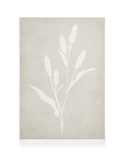 Lavender Silhouette Canvas print