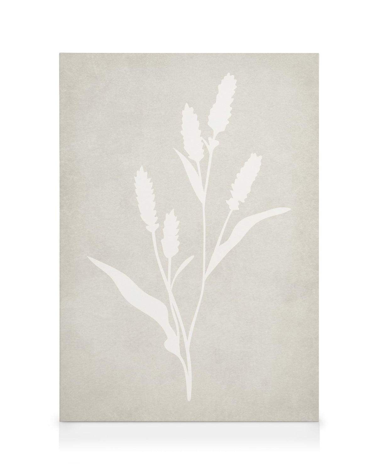 Lavender Silhouette Canvas print