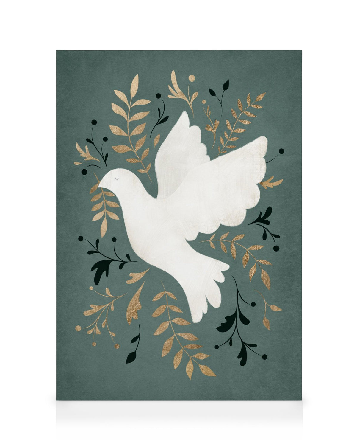 Peace Dove Canvas print