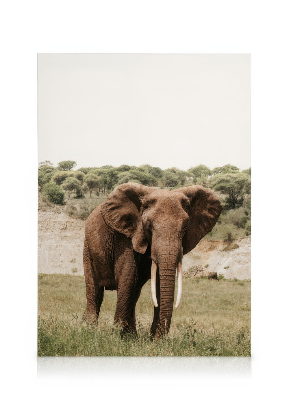 Giant Steps Canvas print