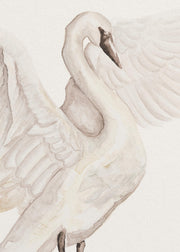 Watercolor Swan Print