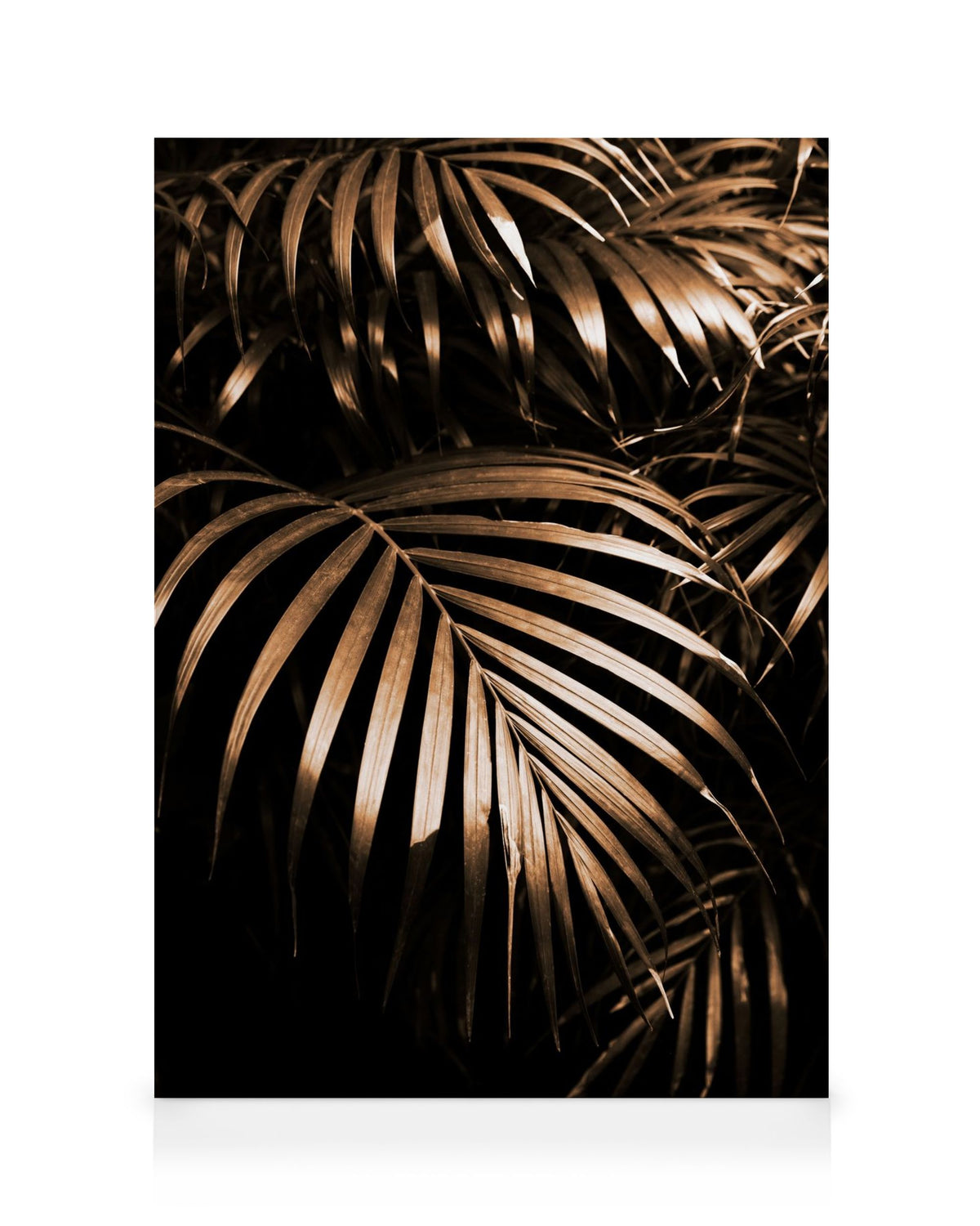 Golden Botanic Canvas print