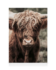 Cow Close Up Canvas print