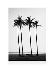 Palm Trees on Beach Canvas print