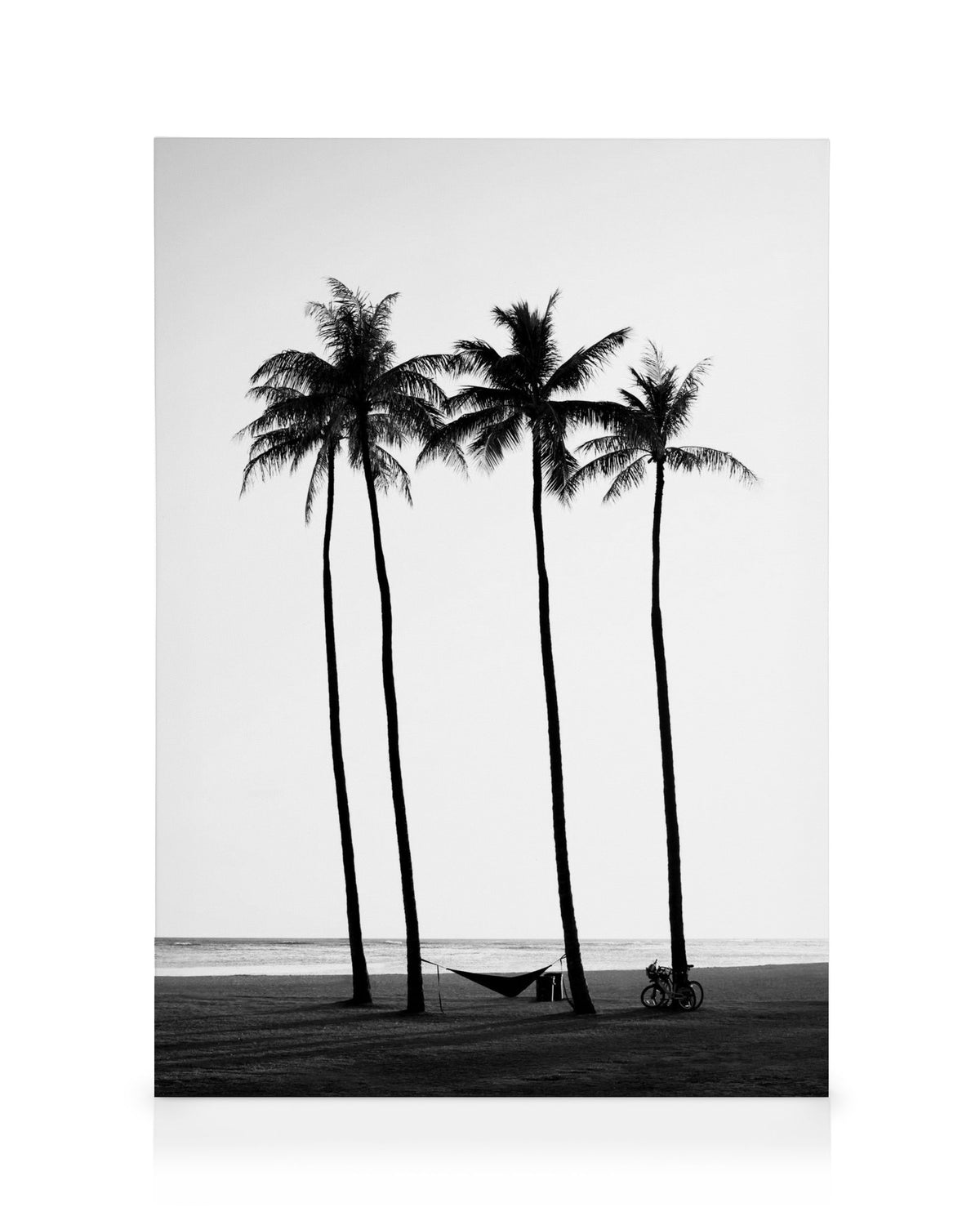 Palm Trees on Beach Canvas print