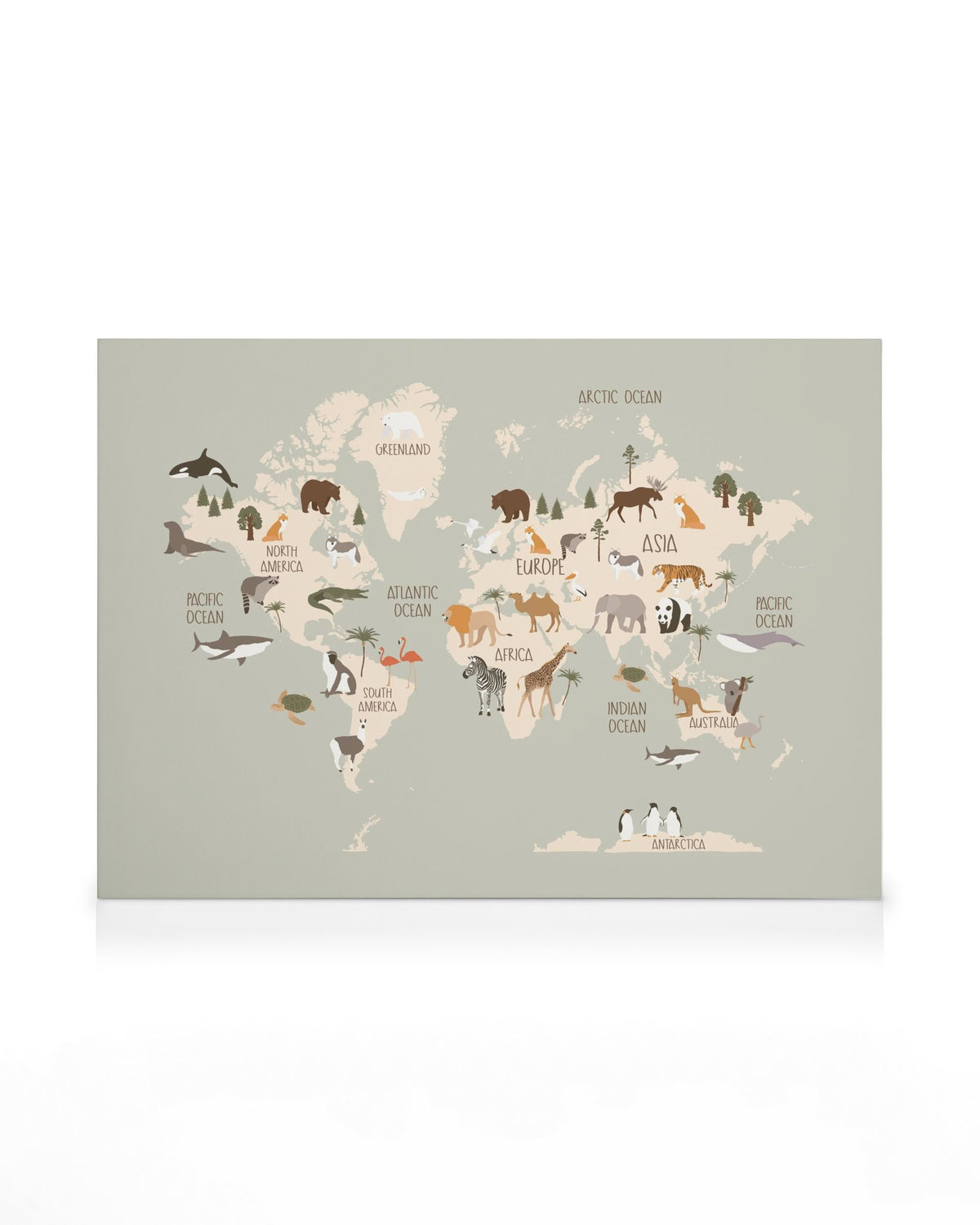 Animals of the World Map Canvas print