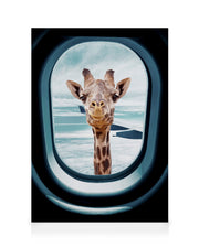 Peek-A-Boo Giraffe Canvas print