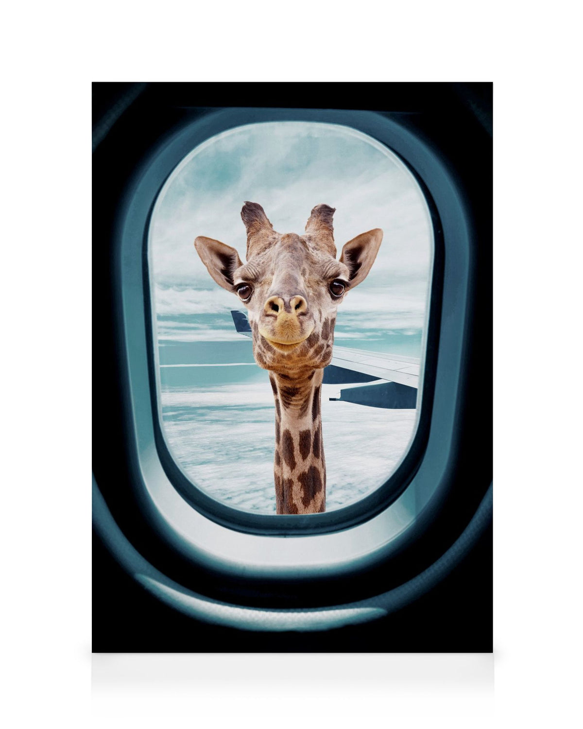 Peek-A-Boo Giraffe Canvas print