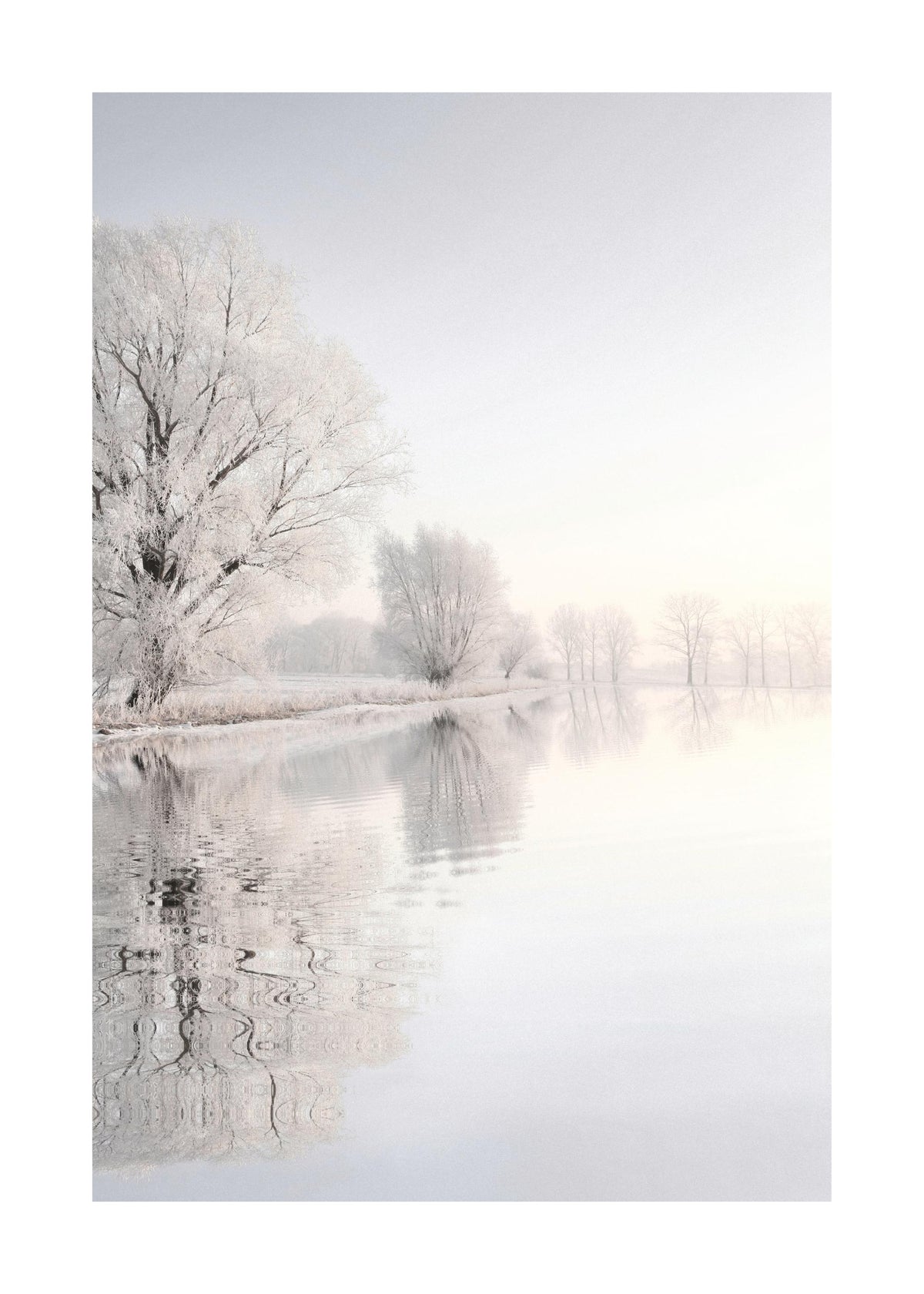 Crispy Wonderland Print