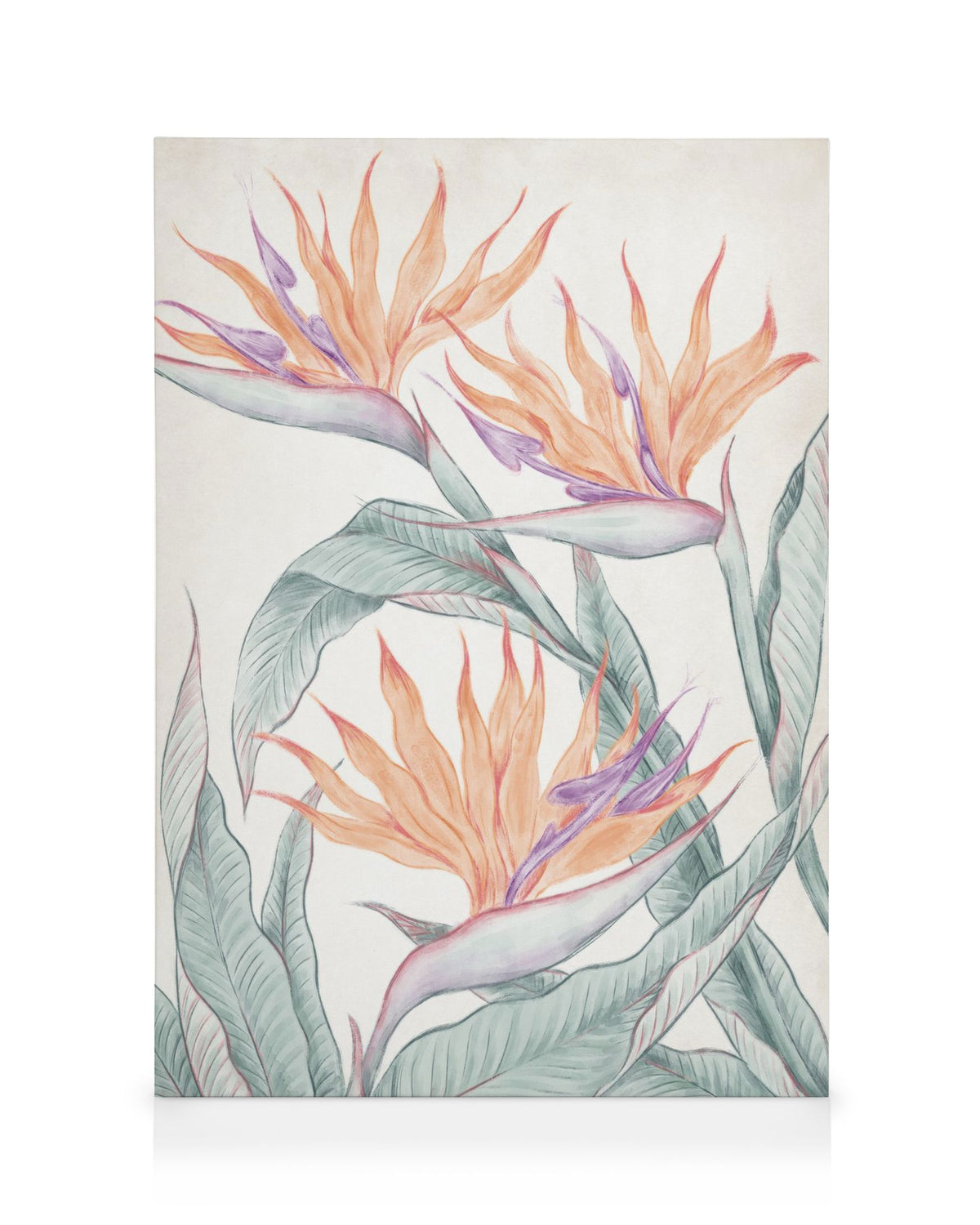 Birds of Paradise Painting Canvas print