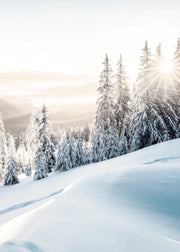 Winter Sunrise Print