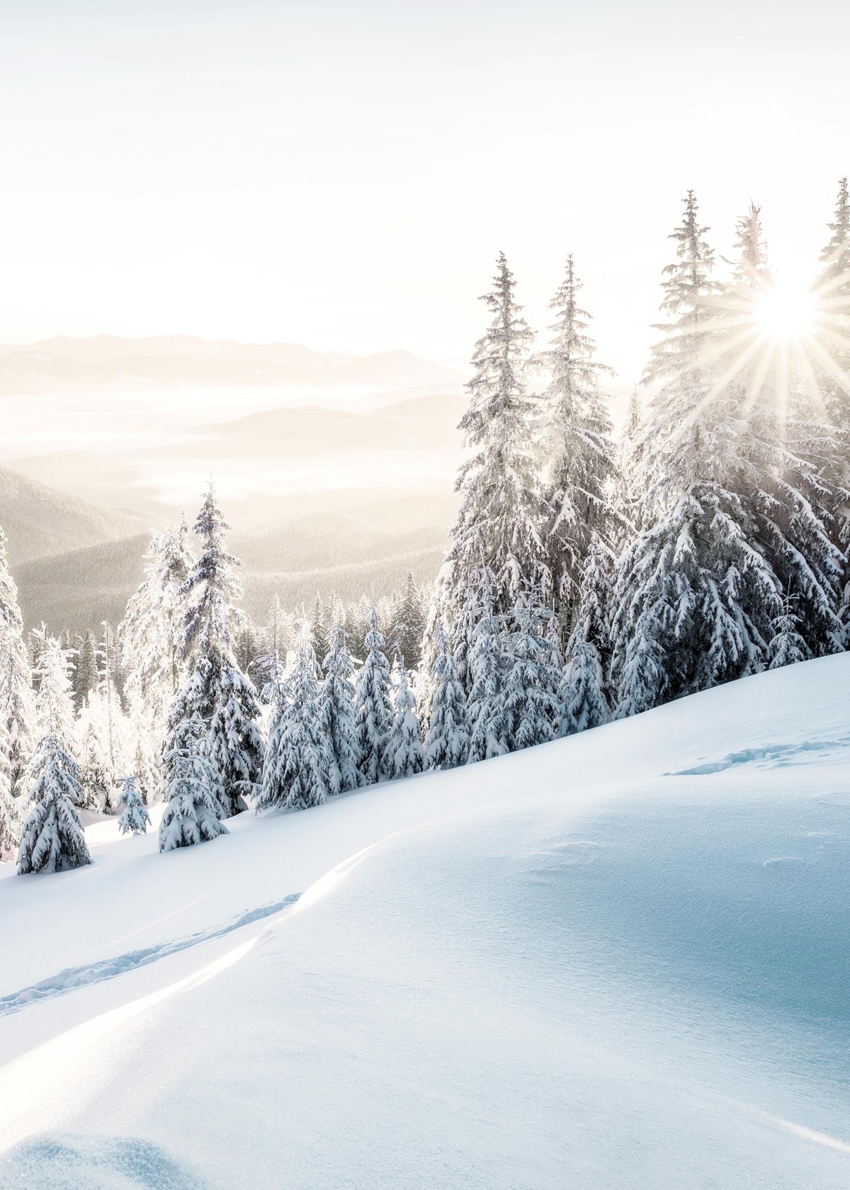 Winter Sunrise Print
