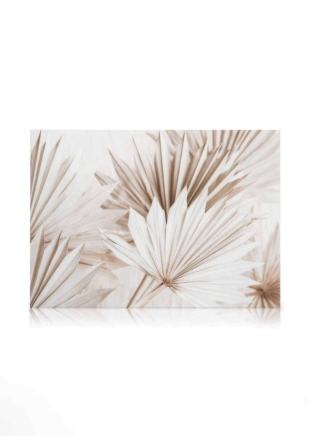 Beige Palm Leaves Canvas print
