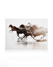 Running Horses Canvas print