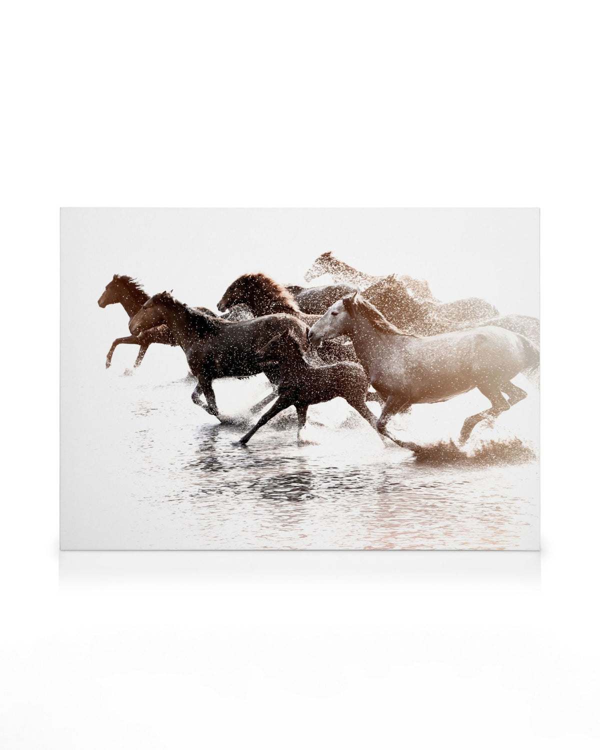 Running Horses Canvas print