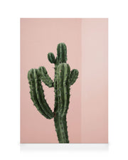Cactus Corner Canvas print