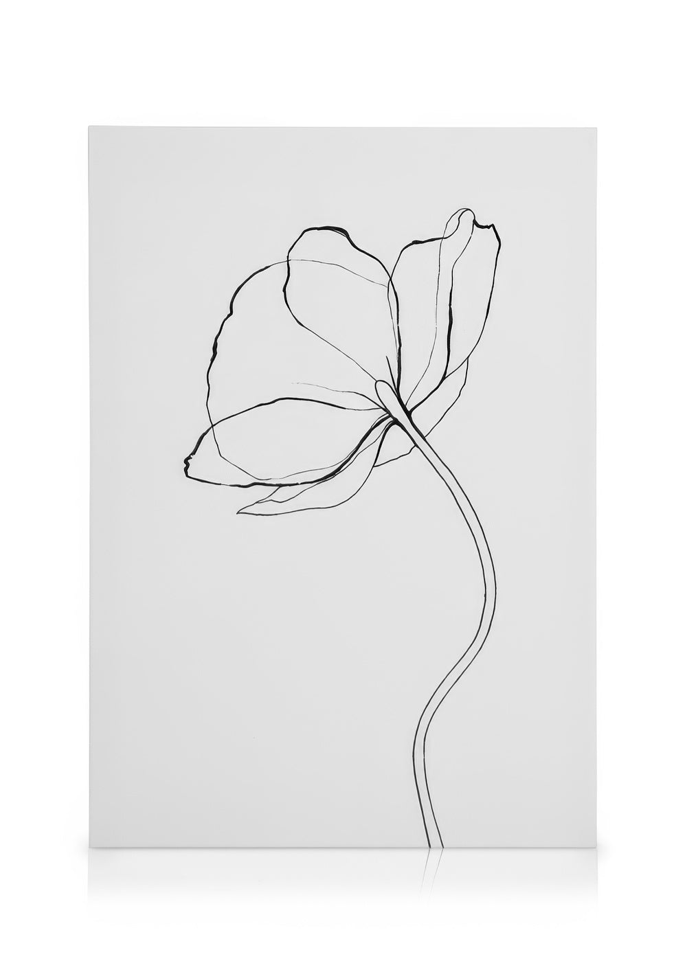 Line Poppy Canvas print