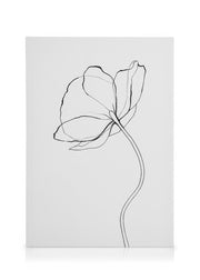 Line Poppy Canvas print