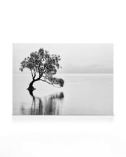 Lonely Wanaka Tree Canvas print
