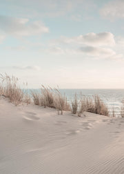 Dune Beach No1 Print