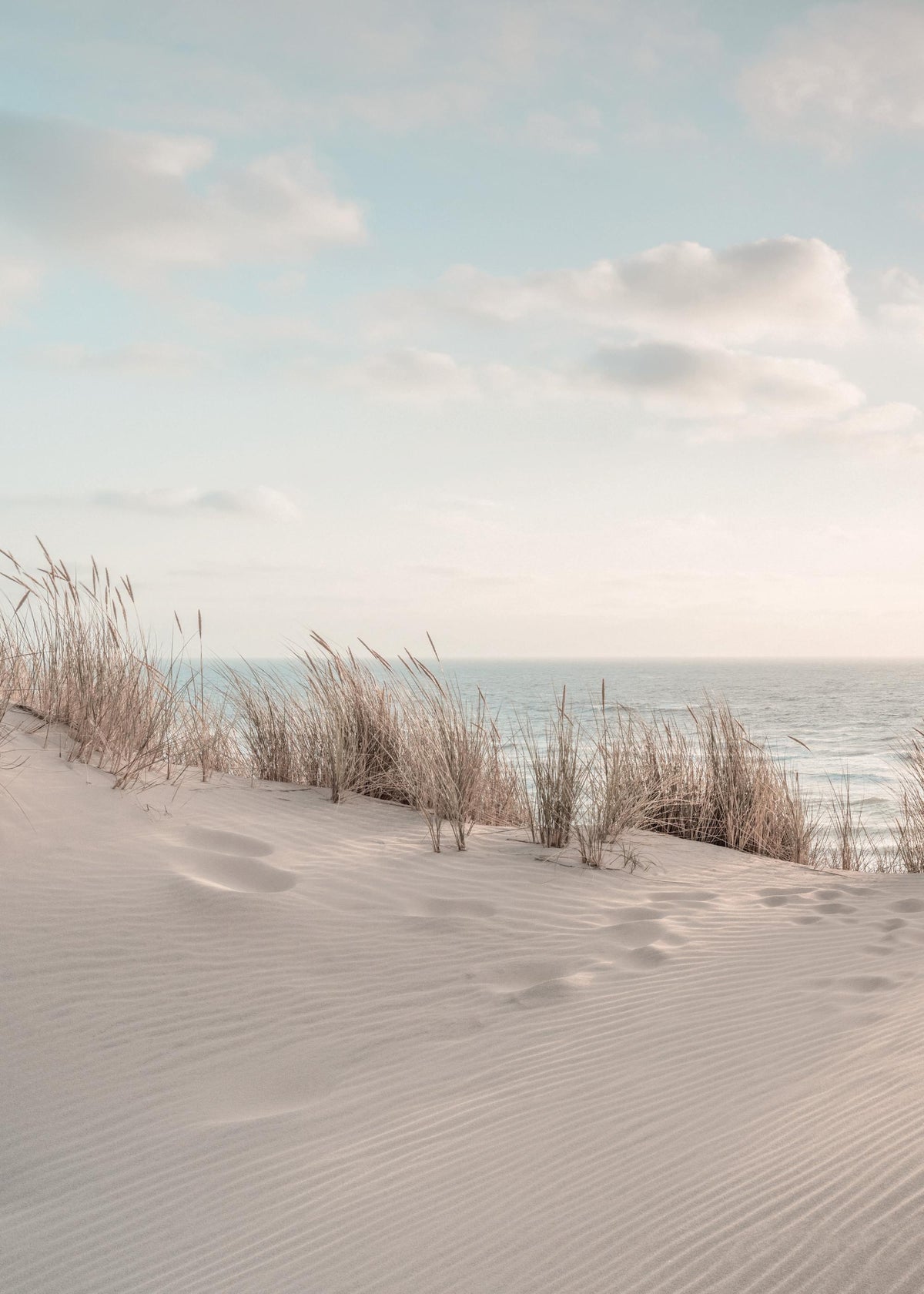 Dune Beach No1 Print